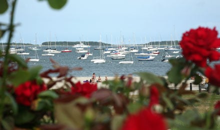 Guided Tours of seaside town Hyannis
